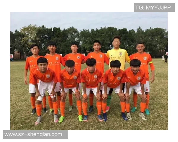 草根足球崛起之路：点燃基层足球梦想，成就未来星辉